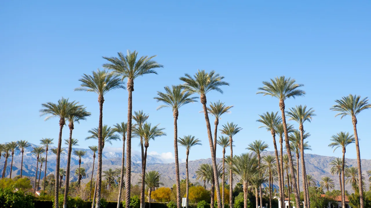 A sparkling clean Palm Springs home at golden hour